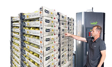 Pallets Machine Stretch